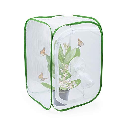  [아마존베스트]RESTCLOUD Insect and Butterfly Habitat Cage Terrarium Pop-up 12 X 12 X 12 Inches with Sleeve