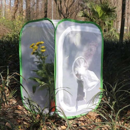  [아마존베스트]RESTCLOUD Insect and Butterfly Habitat Cage Terrarium Pop-up 12 X 12 X 12 Inches with Sleeve