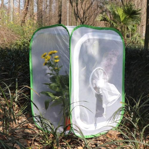  [아마존베스트]RESTCLOUD Insect and Butterfly Habitat Cage Terrarium Pop-up 12 X 12 X 12 Inches with Sleeve