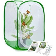 [아마존베스트]RESTCLOUD Professional Butterfly Habitat Insect Cage Caterpillar Enclosure Pop-up Polyester Bottom for Easier Clean (Green, 15.7 x 15.7 x 23.6 inches)