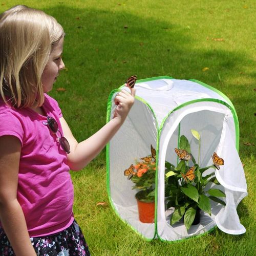  [아마존베스트]RESTCLOUD Professional Butterfly Habitat Insect Cage Caterpillar Enclosure Pop-up Polyester Bottom for Easier Clean (Green, 15.7 x 15.7 x 23.6 inches)