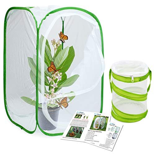  [아마존베스트]RESTCLOUD Insect and Butterfly Habitat Cage Terrarium Pop-up 23.6 Inches Tall with Mini Bug Cage