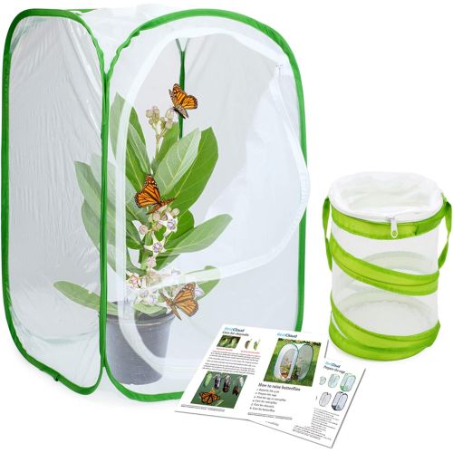  [아마존베스트]RESTCLOUD Insect and Butterfly Habitat Cage Terrarium Pop-up 23.6 Inches Tall with Mini Bug Cage