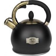 RETTBERG Tea Kettle for Stovetop Whistling Tea Kettles Retro Black Stainless Steel Teapots, 2.64 Quart (Black)