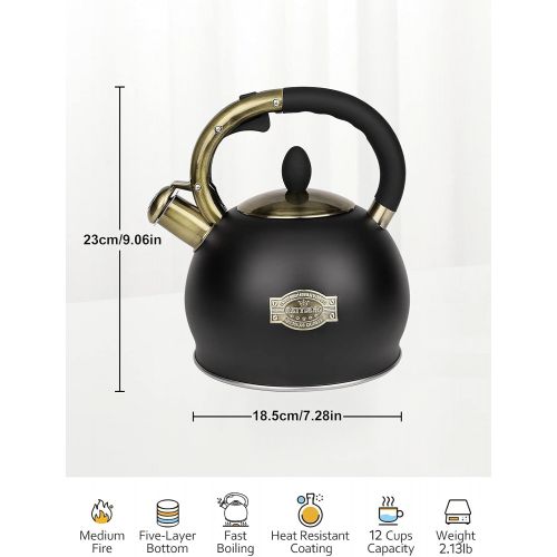  RETTBERG Tea Kettle for Stovetop Whistling Tea Kettles Retro Black Stainless Steel Teapots, 2.64 Quart (Black)