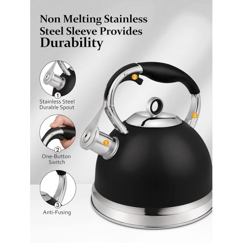  RETTBERG Tea Kettle for Stove Top with Metal Teapots Spout, Whistling Tea Kettles Loud Whistling 2.4-Quart (Black)