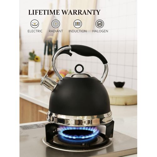  RETTBERG Tea Kettle for Stove Top with Metal Teapots Spout, Whistling Tea Kettles Loud Whistling 2.4-Quart (Black)