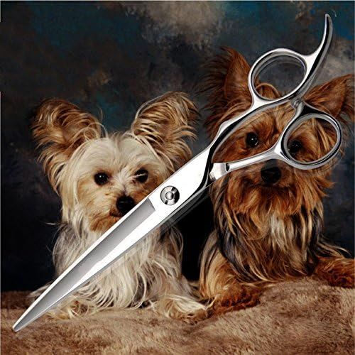  RIFFON Master Series scissors pet hair scissors 7.0 JP440C steel for teddy dog grooming cutting straight shears