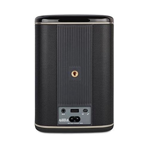  [아마존베스트]RIVA ARENA Smart Speaker Compact Wireless for Multi-Room music streaming and voice control works with Google Assistant (Black)