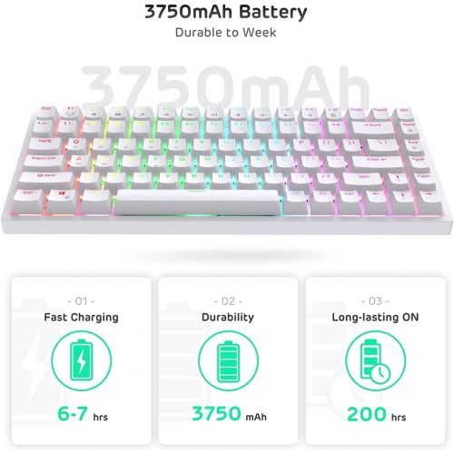  RK ROYAL KLUDGE RK84 80% RGB Triple Mode BT5.0/2.4G/USB-C Hot Swappable Mechanical Keyboard, 84 Keys Wireless Bluetooth Gaming Keyboard, Tactile Brown Switch