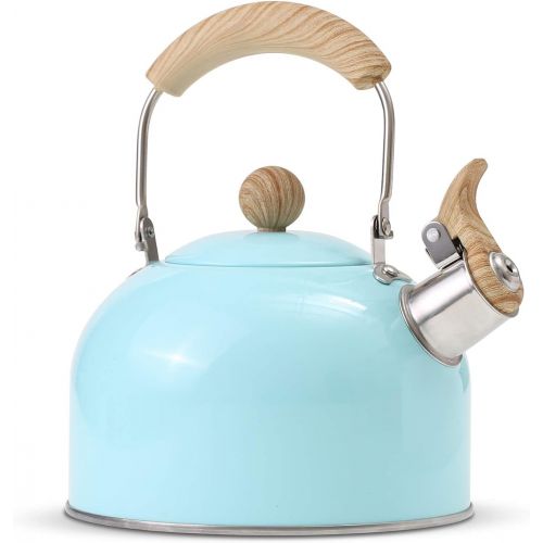  [아마존베스트]ROCKURWOK Tea Kettle, Stovetop Whistling Teapot, Stainless Steel, Blue, 2.43-Quart