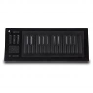 ROLI},description:A revolutionary MIDI controller that is exceptionally intuitive and easy to use, the Seaboard RISE from ROLI is the ultimate form of expression. With a variety of