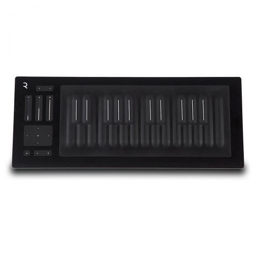  ROLI},description:A revolutionary MIDI controller that is exceptionally intuitive and easy to use, the Seaboard RISE from ROLI is the ultimate form of expression. With a variety of