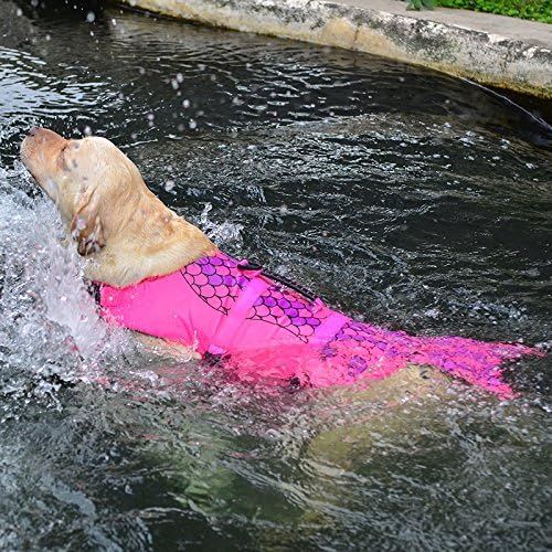  ROZKITCH Albabara Ripstop Adjustable Dog Life Jacket with Rubber Handle Pet Puppy Saver Swimming Water Life Vest Preserver Flotation Aid Buoyancy Fish and Shark Style with fin for Small Med