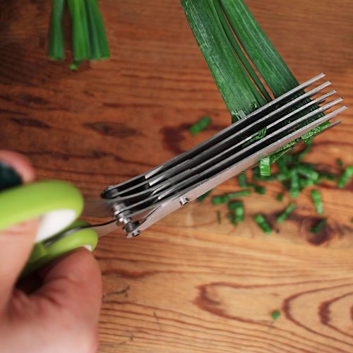  [아마존베스트]RSVP International (SNIP) Stainless Steel 5 Blade Herb Scissors, Green/White | Cut, Chop, Mince & Snip Herbs | Easy & Safe to Store | Use with Basil, Thyme, Parsley & More | Dishwa