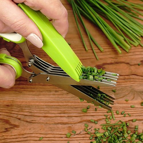  [아마존베스트]RSVP International (SNIP) Stainless Steel 5 Blade Herb Scissors, Green/White | Cut, Chop, Mince & Snip Herbs | Easy & Safe to Store | Use with Basil, Thyme, Parsley & More | Dishwa