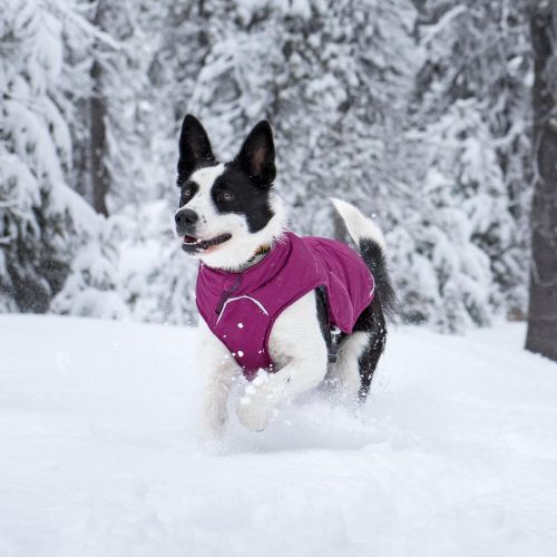  RUFFWEAR - Quinzee Warm, Lightweight Insulated Jacket for Dogs