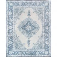 RUGGABLE Washable Stain Resistant Indoor/Outdoor, Kids, Pets, and Dog Friendly Area Rug, 8x10, Parisa Blue