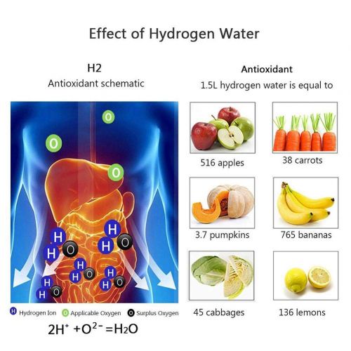  [아마존베스트]Runmind Hydrogen Water Bottle with PEM and SPE Technology, Up to 1600 PPB, Portable Hydrogen Generator Manufacturer, Glass Water Ionizer