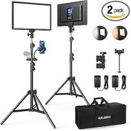 RALENO 2 Packs LED Video Light and 75inches Stand Lighting Kit, CRI 95+ Photography Lighting with 8000mAh Built-in Battery & LCD Display, Studio Lights for TikTok, YouTube, Live Streaming, Videography