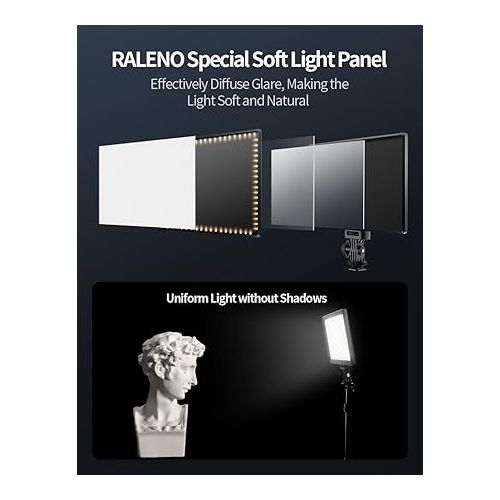  RALENO LED Video Light, Camera Light for Pictures Video Recording with 4000mAh Battery Support Type-C USB Power Supply, CRI>95 3200K-5600K Photo Light for Outdoor Photography Live Streaming Zoom Calls