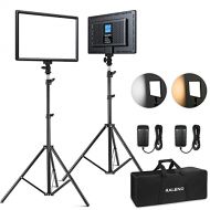 RALENO 2 Packs LED Video Light and 75inches Stand Lighting Kit Include: 3200K-5600K CRI95+ Built-in Battery with 1 Handbag 2 Light Stands for Gaming,Streaming,Youtube,Web Conferenc