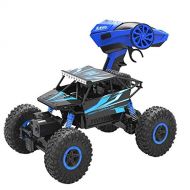Rabing Newer 2.4GHz Racing Cars RC Cars Remote Control Cars Electric Rock Crawler Radio Control Vehicle Off Road Cars