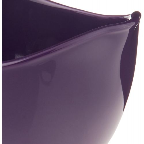  Rachael Ray Ceramics 2-Piece Mixing Bowls Set, Purple: Kitchen & Dining