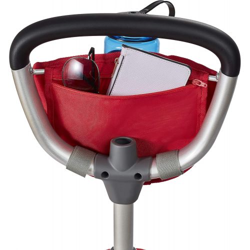  Radio Flyer Deluxe EZ Fold 4-in-1 Stroll N Trike, Red