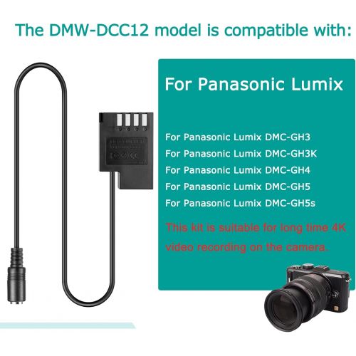  Raeisusp USB Adapter Cable + DMW-DCC12 DMW BLF19E BLF19 Dummy Battery + QC3.0 Adapter for Lumix DMC-GH3 DMC-GH4 DMC-GH5