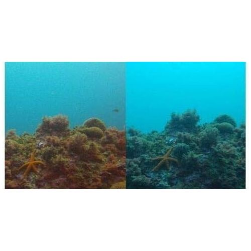  RageCams Red Filter Underwater Color Correction Press On for Sony FDR-X3000 AS300 AS50 Waterproof Divehousing