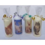 RainbowCraftsBySandy Cat Candle can be personalised for any occasion