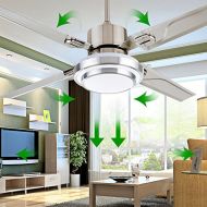 RainierLight Simple Stainless Steel Ceiling Fan and LED Light with Remote Control for Indoor 48-Inch(Silver)