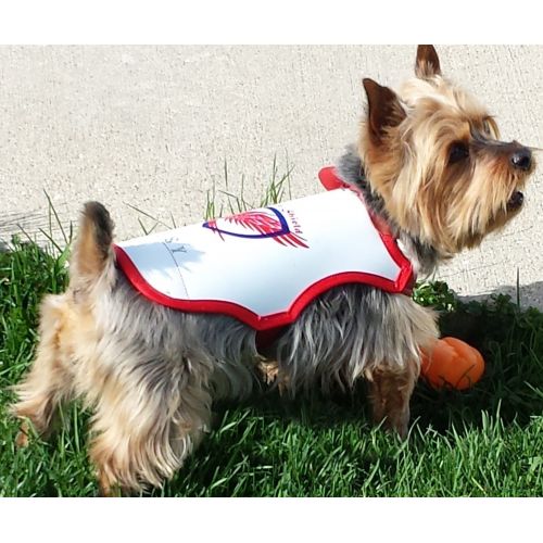  Raptor Shield Dog Pet Protection Vest w/Comfort Liner - Against Hawk Attacks & Other Birds of Prey