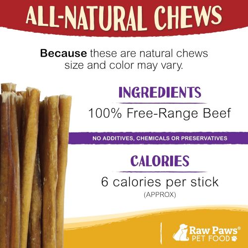  Raw Paws Thin Bully Sticks 6 inch - Small Bully Sticks for Puppies - USDA, Grass Fed, No Hormones, Free Range Cows - Bull Pizzle Sticks - Puppy Bully Bones for Small Dogs - Skinny