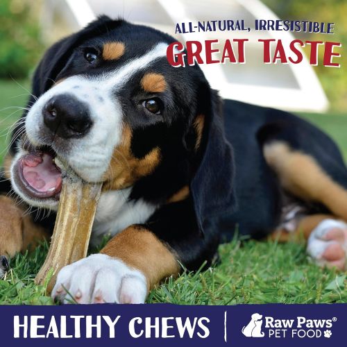  Raw Paws Pet Premium 10-inch Compressed Rawhide Bones for Dogs - Packed in USA - Long Lasting Dog Chews - Natural Pressed Rawhides - Large Dog Bones - Beef Hide Bones for Aggressiv