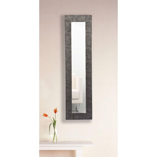  Rayne Mirrors American Made Safari Silver Mirror Panel - Silver/Black 9.5 x 27.5/ Set of Three