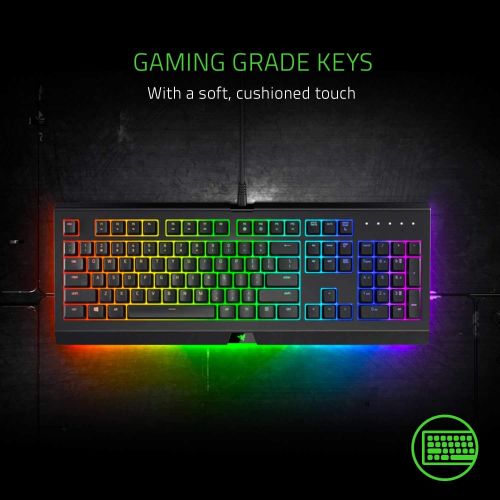 레이저 [아마존핫딜][아마존 핫딜] Razer Cynosa Chroma Pro Gaming Keyboard: Customizable Chroma RGB Lighting W/Underglow - Individuallly Backlit Keys - Spill-Resistant Design - Programmable Macro Functionality