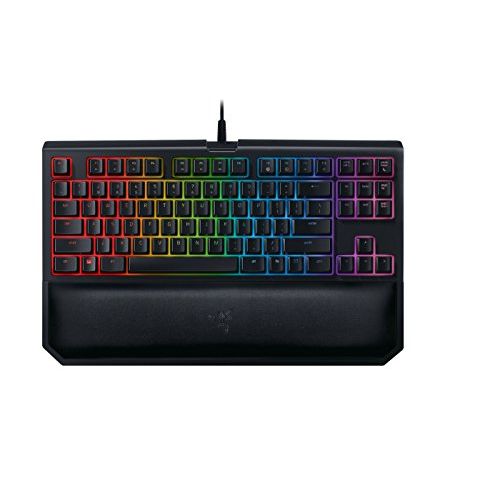 레이저 Razer BlackWidow TE Chroma v2 TKL Tenkeyless Mechanical Gaming Keyboard: Orange Key Switches, Tactile & Silent, Chroma RGB Lighting, Magnetic Wrist Rest, Programmable Macros, Class