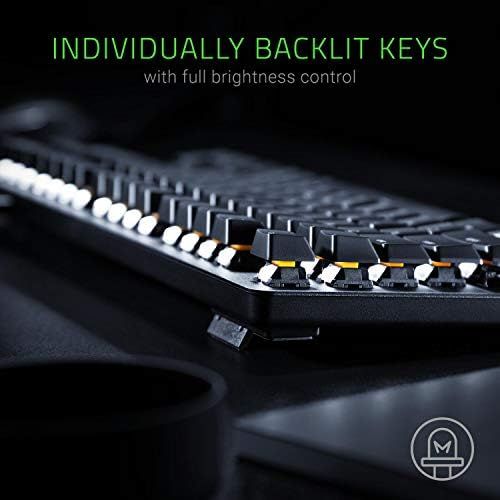 레이저 Razer BlackWidow Lite TKL Tenkeyless Mechanical Keyboard : Orange Key Switches - Tactile & Silent - White Individual Key Lighting - Compact Design - Detachable Cable - Classic Black