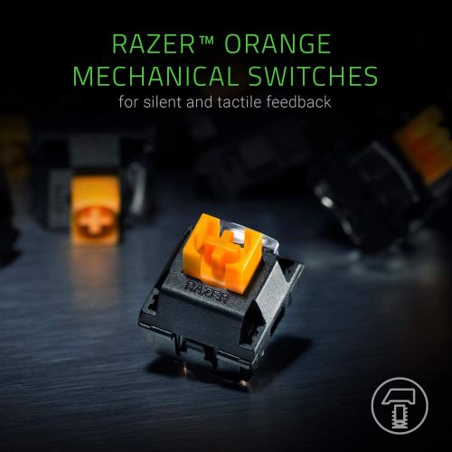 레이저 Razer BlackWidow Lite TKL Tenkeyless Mechanical Keyboard : Orange Key Switches - Tactile & Silent - White Individual Key Lighting - Compact Design - Detachable Cable - Classic Black