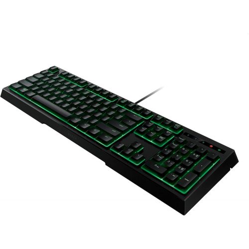 레이저 RAZER ORNATA EXPERT: Mecha-Membrane - Individually Backlit Mid-Height Keys - Leatherette Wrist Rest - Gaming Keyboard - Gaming Keyboard (RZ03-02041800-R3U1)