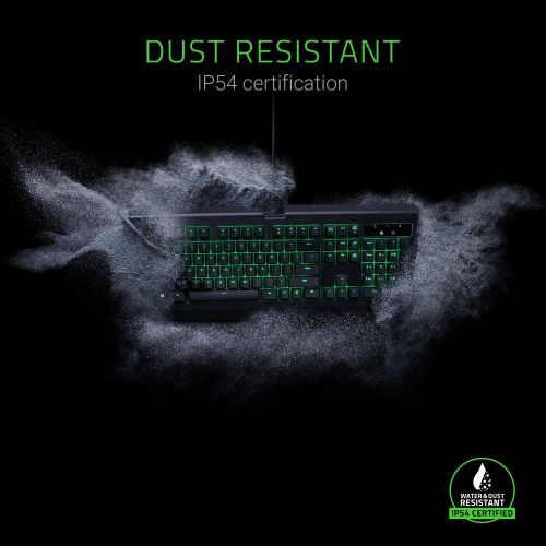 레이저 Razer BlackWidow Ultimate: Esports Gaming Keyboard - Dust and Spill Resistant - Individually Backlit Keys - Razer Green Mechanical Switches (Tactile and Clicky)