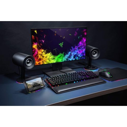 레이저 Razer Nommo Chroma: Custom Woven 3 Glass Fiber Drivers - Rear-Facing Bass Ports - Bass Knob w/ Automatic Gain Control - Razer Chroma Enabled - Full Range 2.0 PC Gaming Speakers, Bl