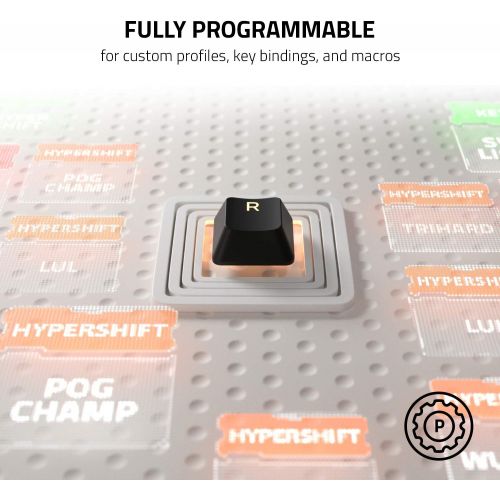레이저 [아마존베스트]Razer Cynosa V2 Gaming Keyboard: Customizable Chroma RGB Lighting - Individually Backlit Keys - Spill-Resistant Design - Programmable Macro Functionality - Dedicated Media Keys