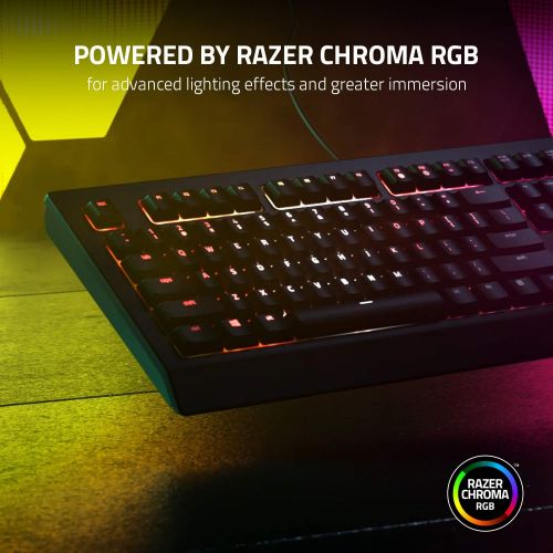 레이저 Razer Holiday Gaming Bundle