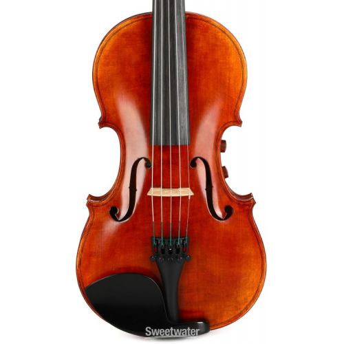  Realist RV5PEFA 5-string Acoustic-electric Violin - Frantique