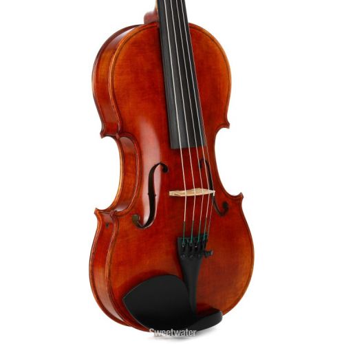  Realist RV5PEFA 5-string Acoustic-electric Violin - Frantique