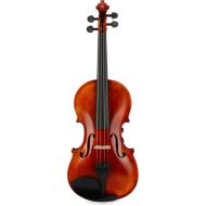 Realist RV4PeFA Acoustic-electric Violin - Frantique