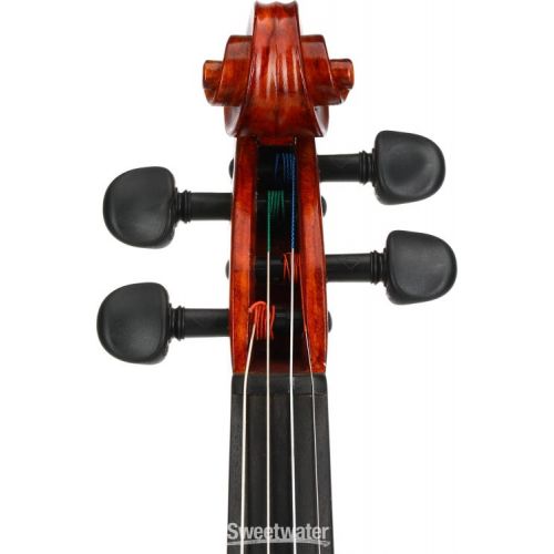  Realist RV4PeFA Acoustic-electric Violin - Frantique